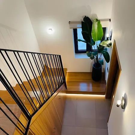 Rezort Horizon Collection *